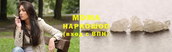 гашик Алексин