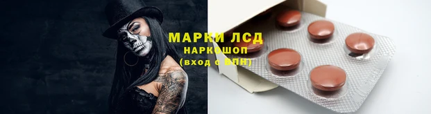 jwh Алзамай