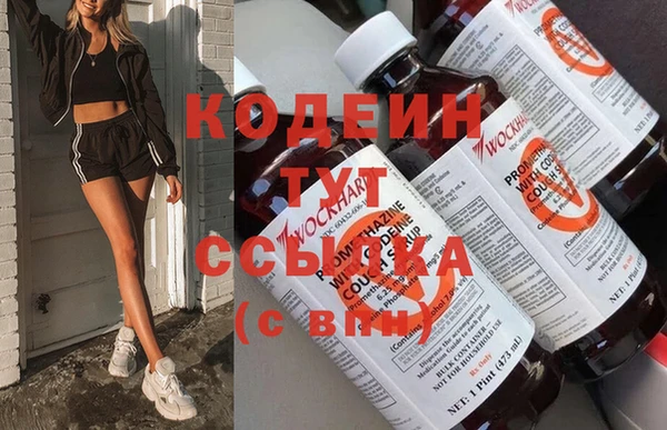 гашик Алексин