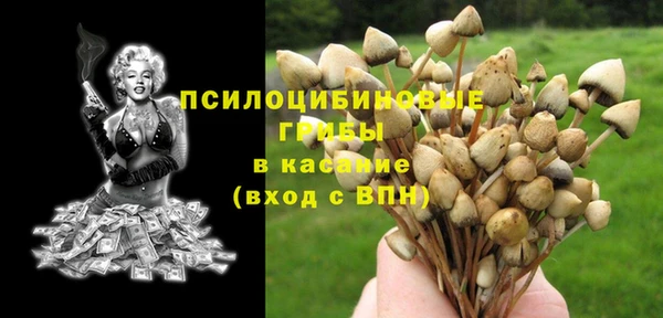гашик Алексин